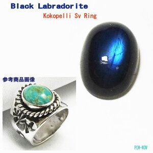 RRy ubN uhCg Oy󒍐zVo[ 925 KOKOPELLI Ԃ Vo[ANZH[ ubNAeB[NHy10`30܂Łz