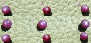 w fB[X p[vX^[Tt@CA tFU[Oy󒍐zw sL[O  j Vo[ANZH[ pEE ׍Ht H ^[Ny1`20܂Łz