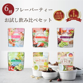 【 送料無料 】 カネ松製茶 フレーバー ティー お茶 飲み比べ お試し 6袋 セット 静岡 ティーパック もも いちご ぶどう レモン しょうが ゆず セット フレッシュ 水出し 癒し リフレッシュ リラックス 香り お得 お徳 白桃 苺 檸檬 葡萄 麦茶 ティーバッグ フルーツ 日本茶