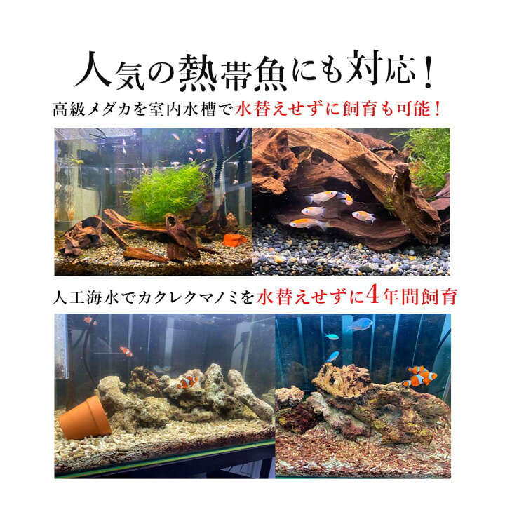 楽天市場】【 送料無料 】 トット パーフェクト フィルター 水換え 