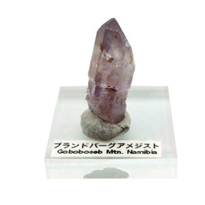 i~rAY uho[O AWXg Zv^[|Cg    14g 2̒a No2 ANt