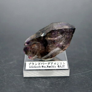 i~rAY uho[O  AWXg DT Jeh  17g 2̒a No2 ANt ӏ܍z gbvNHeB