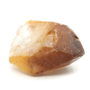 h[R[gA |Cg  76g ÁI uW SCAXY AWXgƃJRNZiCg ^WF̋ gCS[jbN