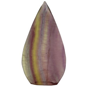 C{[t[Cg tC J[rO 129g Y p[vƃCG[̃RgXgt[Cg̉