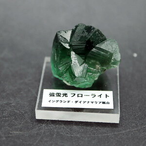 CMX COh _CAi}AzRY u O[t[Cg  15g i ANt