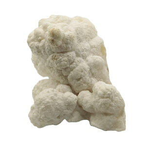 bRY zCgASiCg  521g ߓ΂̗l UVCgŌuƗӌ