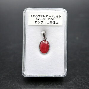 CyA [hiCg SV925 y_ggbv Pi VAY J{VVFCṽoP Rdグ v[gɂ߃ANP[Xt