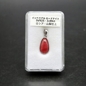 CyA [hiCg SV925 y_ggbv Pi VAY yAVFCṽoP Rdグ v[gɂ߃ANP[Xt