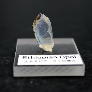 �G�`�I�s�A�� �I�p�[�� �������� 6ct ���i�� 10���̒a���� �A�N��������t�� 3A No1 �u���[�ƃp�[�v���A�O���[���̗V�F����