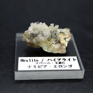 nCACg Ip[ u 3g UP No3 ANt 󏭂ŃAȎYn i~rAEGSY