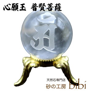 �S��� ������F �V�R�����̂���� �L���� �{��(����) ��R �吹�@ ���F ���F��ς� ����� �Z�b�g �蒤�� ����