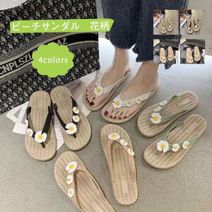 r[`T_ fB[X ԕ T}[T_ tbgT_ ؂ ₷ r JWA   AEghA IV