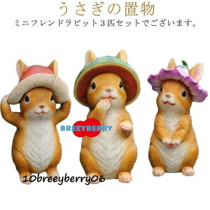 ���r�b�g �E�T�M �e �K�[�f�j���O �u�� ������ ���r�b�g �I�[�i�����g ������� ���킢�� ���� ������ �k�� �K�[�f�� �����