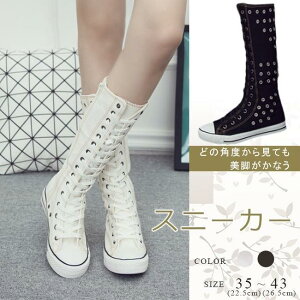 Xj[J[ fB[X LoX O t@Xi[t ₷  ҂ݏグ ₷ V[Y ʊw ʋ r JWA S2F 傫TCY