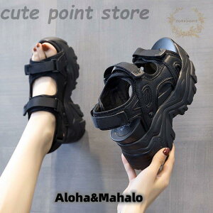 T_  10cm fB[X ɂȂ EFbW\[ ₷ X|[cT_ r AEghA ₷ JWA r