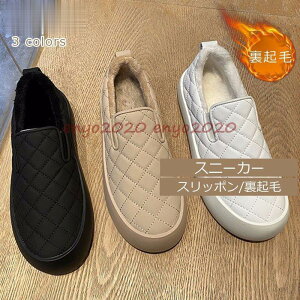 Xj[J[ fB[X Xb| V[Y ؂񂱌C N {At  tbg h g ₷ ꂢ 