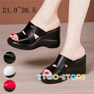 T_ fB[X ~[ T_  EFbW\[T_ q[8cm ăT_ nCq[