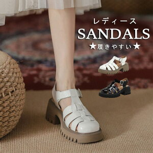 T_ OJT_ fB[X T}[ [}T_ ҂ݍ ؂ ~ ₷  y Ȃ NXT_