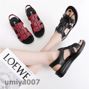 T_ OJT_ fB[X ₷ {v  傫TCY  ɂȂ r  Ȃ l  V tR[f