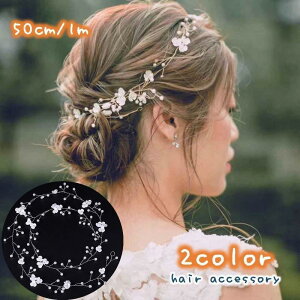 wbhhX wAANZT[ C[  [t t[  } fB[X LbY  킢  uC_ tH[}