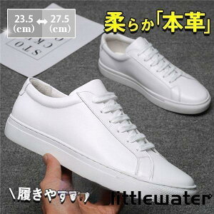 IbNXtH[hV[Y Y JWA v EH[LO C {v Xj[J[ AEghA ʊw ʋ zCg  am  t H