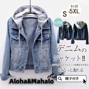 fj GW fB[X Wp[ W[W  AE^[ HD u] OXq Be[W