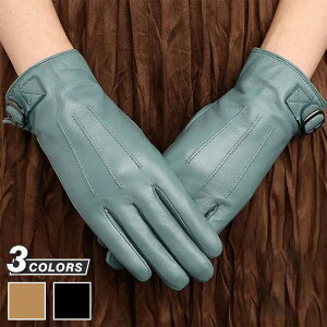 rv {v܁@fB[X@O[u@U[O[u@U[ N X}zΉ\ glove@oCN܁@oCNO[u@[VOO[u