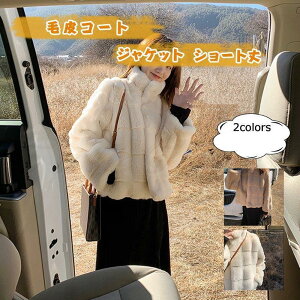 єR[g fB[X n  V[g  tFCNt@[  h g  ӂ AE^[ ~p 