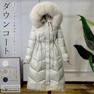 _ER[g fB[X OR[g ~ LeBOR[g t[ht t@[ R[g  tt h t[ht_ER[g ʋ