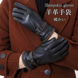 fB[X v U[O[u {v U[ v X}zΉ ^b`plΉ O[u U[ p X}z N h ʋ Mtg ~