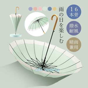 P JP fB[X P 16{ J v  킢 蕨 wlP fB[X ꂢ Z w Vv  JT