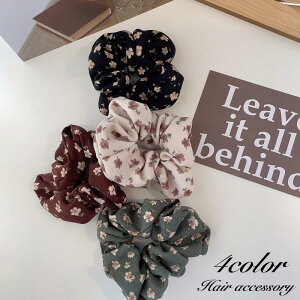 VV wAS wAANZT[ fB[X    ԕ t[ i    fC[ ig o