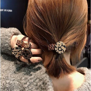 wAS fB[X Ip[h CXg[ qE wAANZT[ 炫 XNGA Eh  v[g a o f[