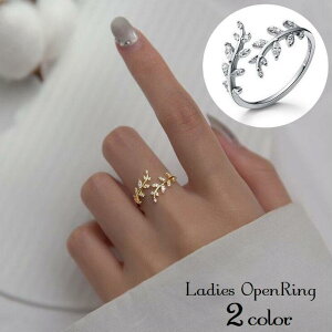 I[vO w fB[X ANZT[ t@bVO [t t CXg[ p wlp   v[g 