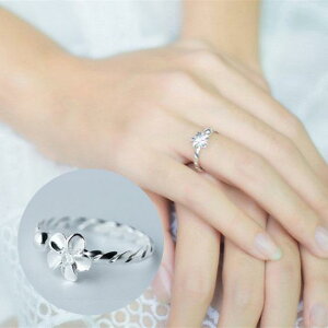 w O fB[X I[vO ߉\ t[TCY ANZT[  t[`[t Vv  킢 o v[