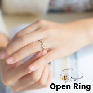 w O I[vO fB[X ANZT[ WG[ t[TCY ߉\ e fCW[  t[ Vo[J[ S[hJ[