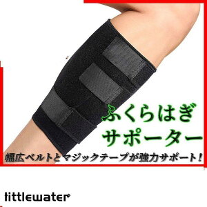 ӂ͂ T|[^[  oXP  St jO X|[cp X|[c AX[g   fzcyp ۉ ނ 1