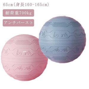 oX{[ 65cm C t K{[ tbg|vt A`o[Xg q l ω׏d700kg GNTTCY _CGbg Xg