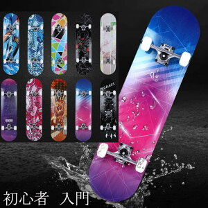 �X�P�[�g�{�[�h �R���v���[�g ���S�ҁ@�����i ���S�� ���K ���� �V���[�g�@�f�b�L �^�� �@���蕨 �X�|�[�c ��������