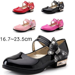 sAm\ C tH[}V[Y 16.7~23.5cm tH[}C qC ̎qp t@[V[Y { LbYV[Y RN[ _X \