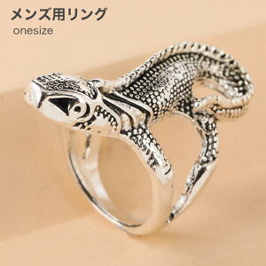 O w Y ANZT[ gJQ ঒  IV v[g IWieB[ h I ACe