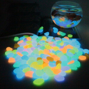   1000 ANAEpi  ~   Mы  ԕr Jt Xg[   