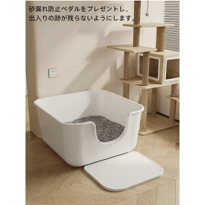 (2023NV) L lR ˂p gC LgC ˂gC e 傫 ^ ^lR юUȂ