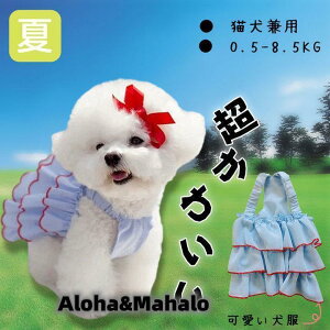    ybg L p ybgpi ^Ngbv TVc hbOEGA nTVc VvTVc [EGA