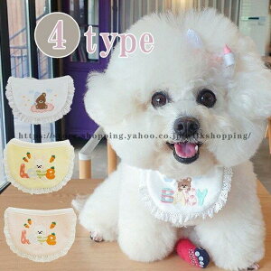  XJ[t 悾ꂩ o_i J[ hbOANZT[ pf^XJ[t   ^  ybgpRX`[ ANZT[ ̕