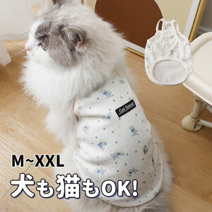   xXg t hbOEFA t    L   ybg  p Lp ^ ^ o  Lт₷ 