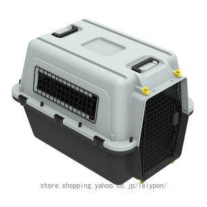 ybgL[ L[obO L  L[P[X oobN qA{bNX Lp ^ p ԍ  AEghA ʉ@   ʋC