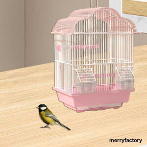 IE  nEX sp  IJCR Ep L