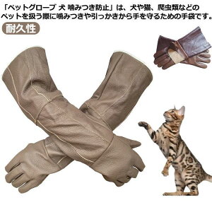  ybgO [u ݂h~ ybg ݂h~ ݂ h~  L  O[u Z[teBO[u  | ߊllbg