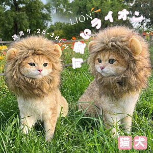 ペット用帽子 ペット用キャップ 犬 猫 ウィッグ コスプレキャップ ライオンに変身 帽子 ハット 可愛い 調整可能 かぶりもの 耳付き 着脱簡単 かわいい
